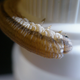 Illustration for article titled Shooting Challenge Freelensing Gallery 1